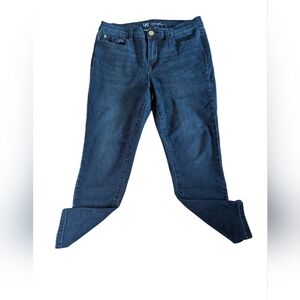 DG2 Diane Gilman Womens Stretch Jeans Indigo Blue Size 8 Petite Jeggings